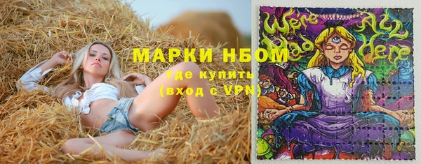 кокс Аркадак