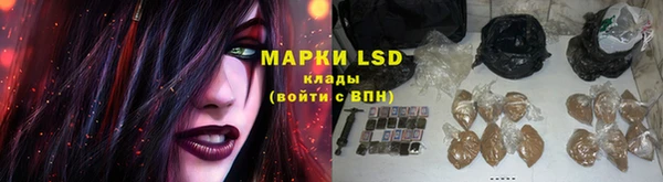 молекула духа Покровск