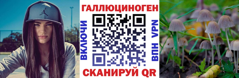 Псилоцибиновые грибы прущие грибы Сатка
