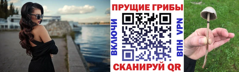 купить  сайты  kraken маркетплейс  Псилоцибиновые грибы ЛСД  Сатка 